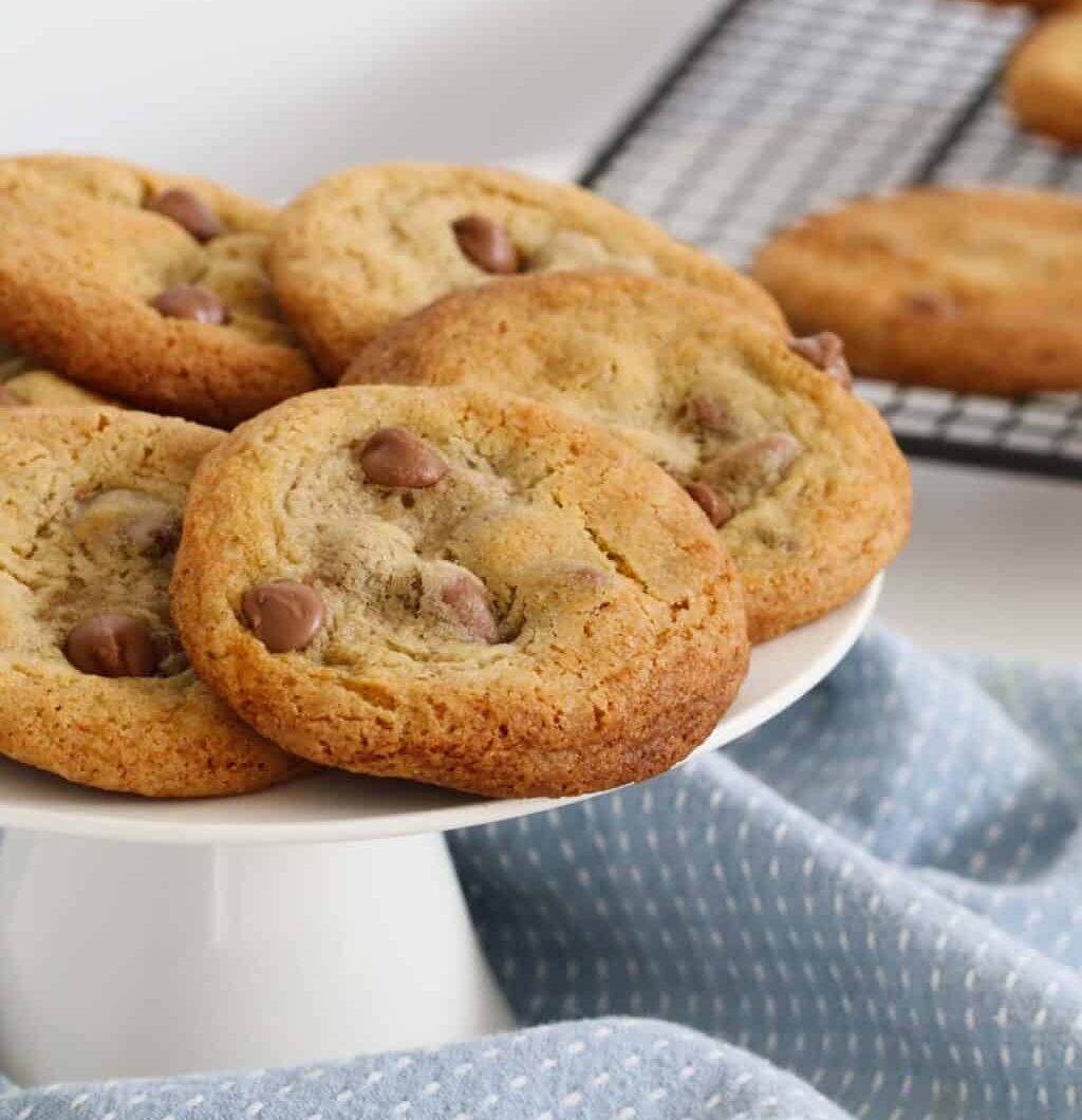 The Ultimate Thermomix Chocolate Chip Cookies