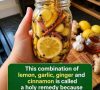 Lemon, Garlic, Ginger & Honey Wellness Elixir
