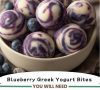 Blueberry Greek Yogurt Bites